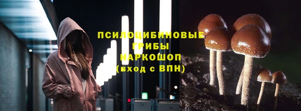 крисы Белоозёрский