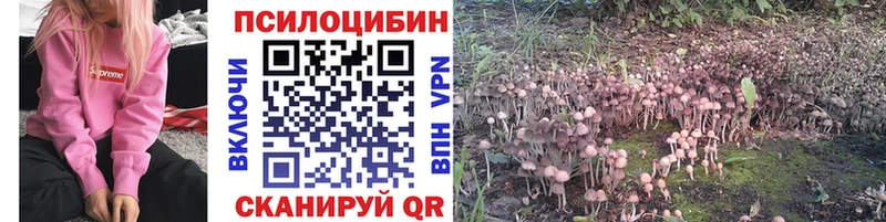 Галлюциногенные грибы Cubensis  Волжск 