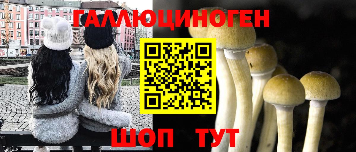 Галлюциногенные грибы Psilocybe  Вход с VPN  Волжск 