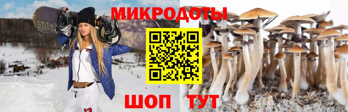 Галлюциногенные грибы ЛСД Волжск